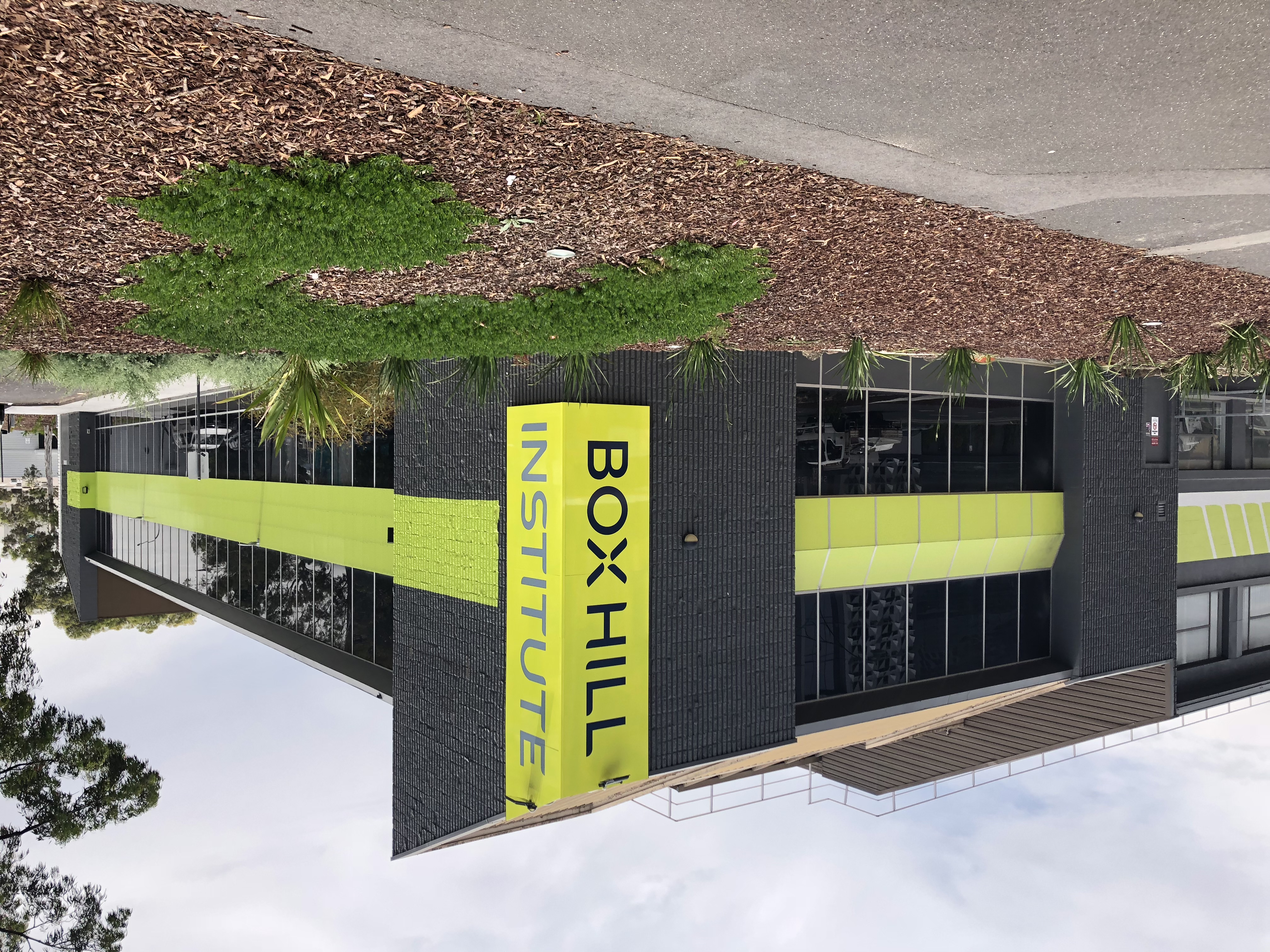 School media preview